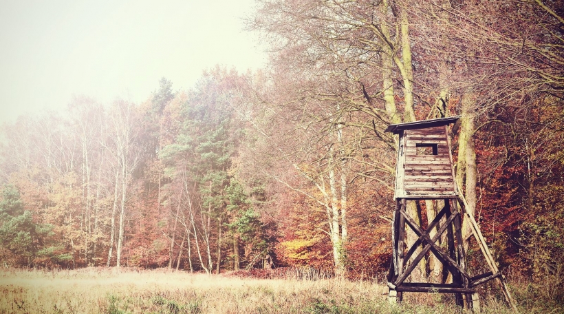 Retro filtered photo of a hunting pulpit in forest.