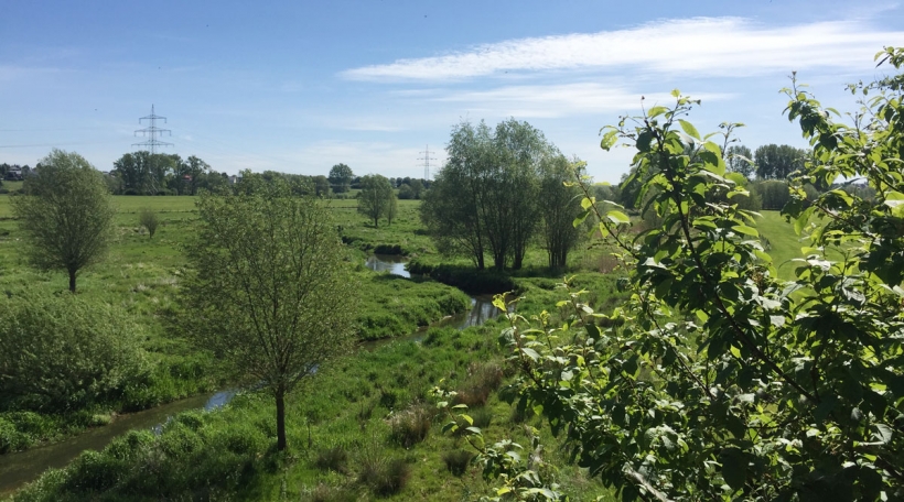 D'Naturschutzgebitt tëscht Schëffleng, dem Dumonts-Haff an der Lameschmillen