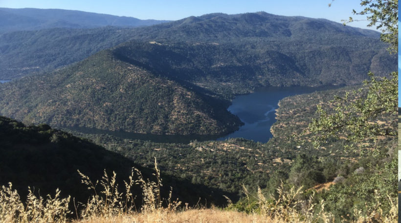 Post Christiane 2.png