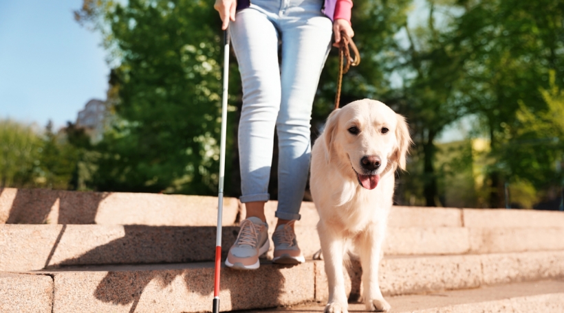 Illustratioun Persoun mat Blannenhond