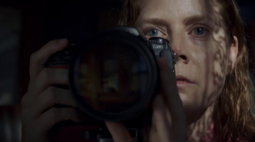 The Woman in the Window