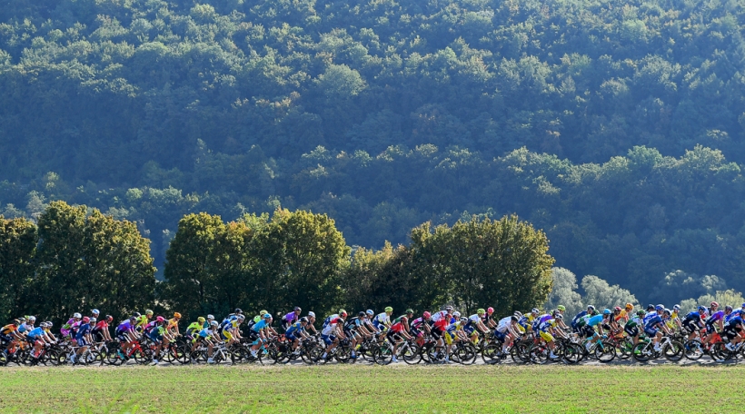 Das Peloton im Anstieg zur Girsterklaus.